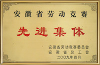 2009先进集体